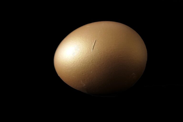how many calories are in a boiled egg